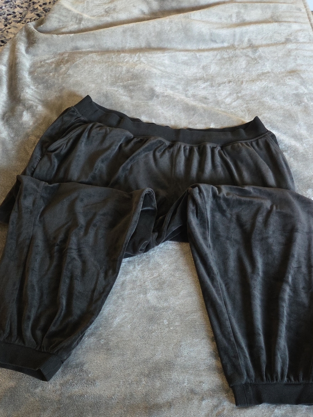 Lane Bryant Livi Velour Jogger